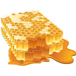 Honey PNG-11551